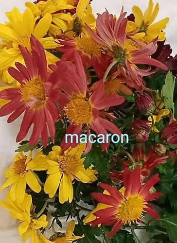   He ֑} 5{ ~bNX IW  F sN