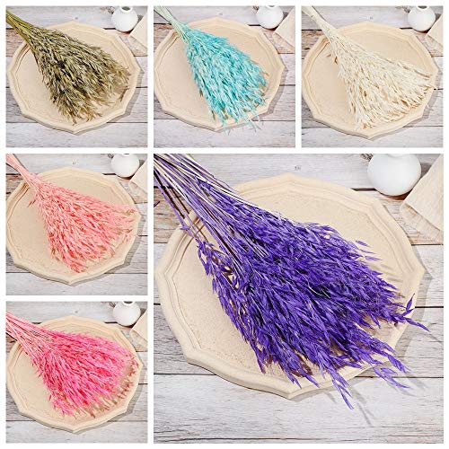 Pampas Grass Large 25PCS Flores Secas Decorativas Naturales miniatura 3