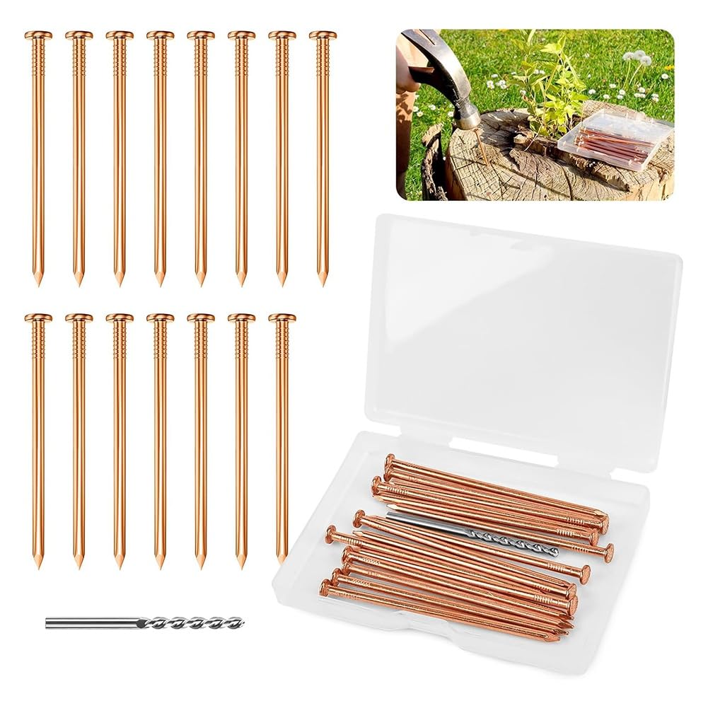 Bloepum 25 Pieces Copper Nails for Killing Tree Stump, 3.15 Inch Copper Nails with Drill, Stake Removal Nailer for Trees