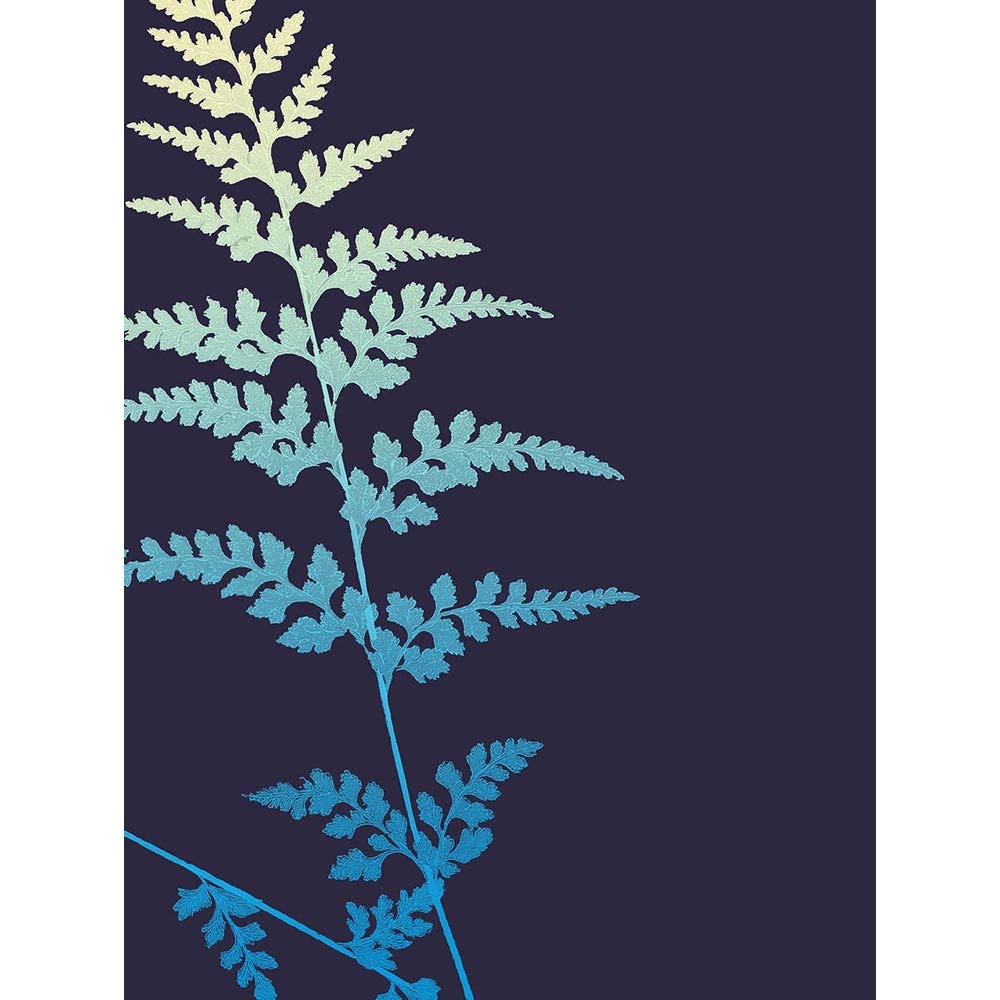 Wee Blue Coo Bright Fern Illustration Unframed Wall Art Print Poster Home Decor Premium