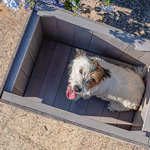 Ferplast Hundehütte kleine Hunde ARGO 60 aus FSC-Holz, Hundehaus Outdoor Wetterfest, Isolierende Kunststofffüße, 70 x 55 x h 52 cm.