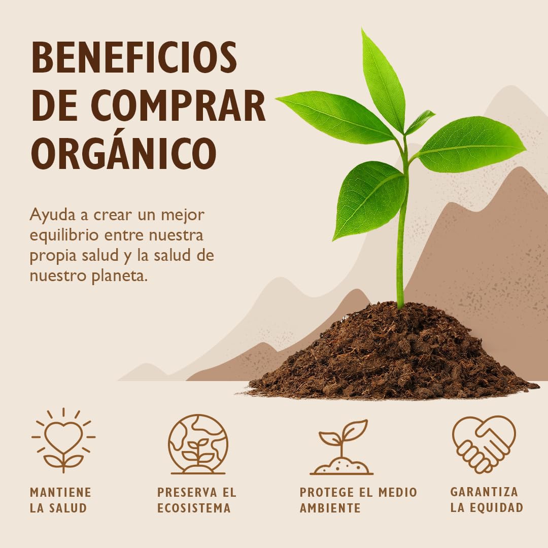 Sevenhills Wholefoods Canela Cruda En Polvo Orgánica (Verdadera Ceylon) 200g