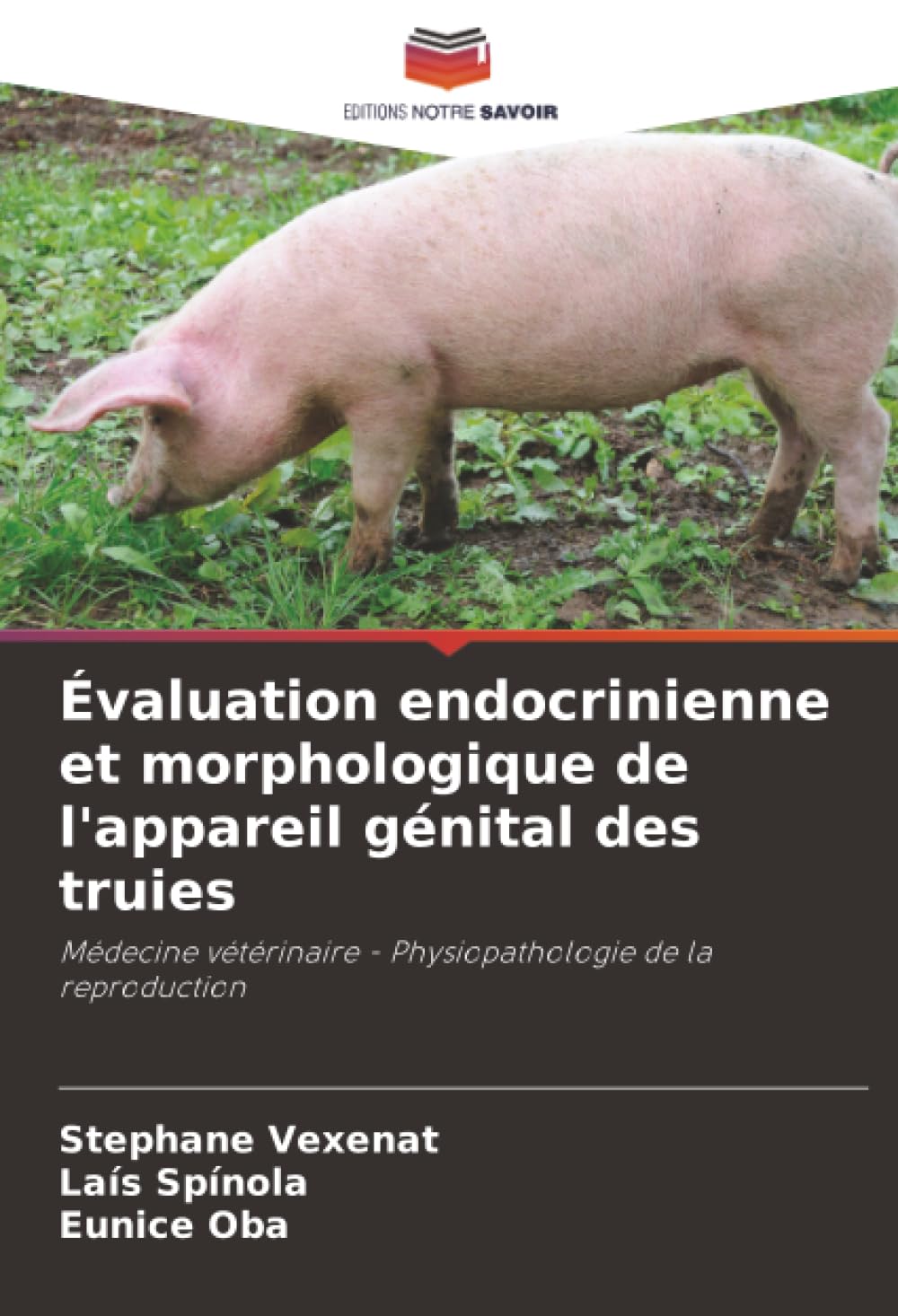 Évaluation endocrinienne et morphologique de l'appareil génital des truies: Médecine vétérinaire - Physiopathologie de la reproduction