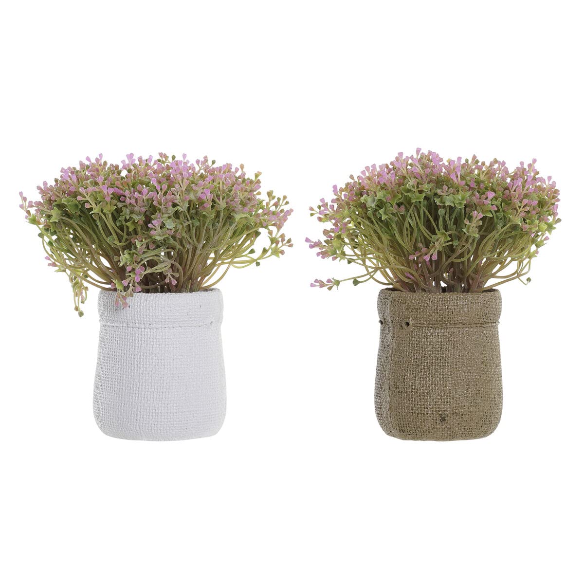 Plante d'ornement standard DKD Home Decor pour décoration intérieure