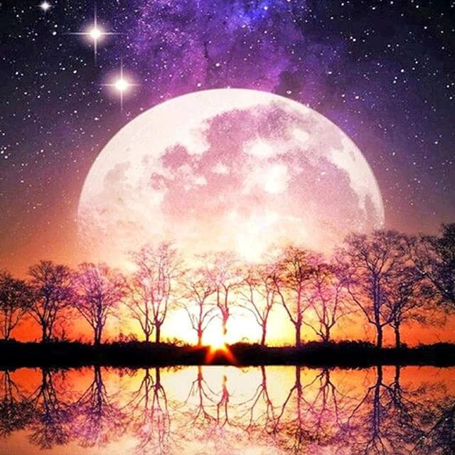 Rose Sea Moon Animal Diamond Painting Full Round Resin Mosaic Landscape Diamond Embroidery Picture Rhinestone Home Decor Gift QW22 60x80cm