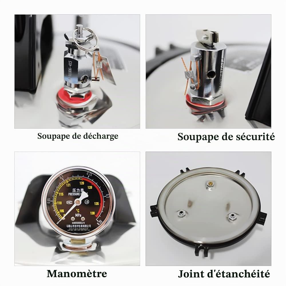 Autoclave en acier inoxydable stérilisateur à vapeur autoclave électrique de dispositif de stérilisateur de vapeur pour l'équipement médical dentaire (24L)