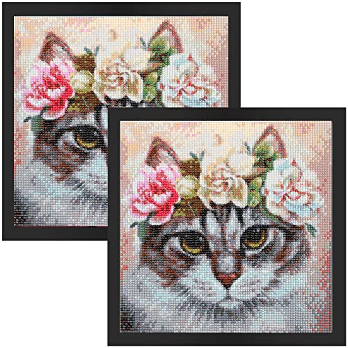 Lxmsja Diamond Painting Frames, Picture Frames for Diamond Painting Art, Magnetic PVC Frame 28x28cm/11x11in (Painting Size 24.7x24.7cm/9.8x9.8in),Diamond Painting Accessories Fram (2 Pack, Black )