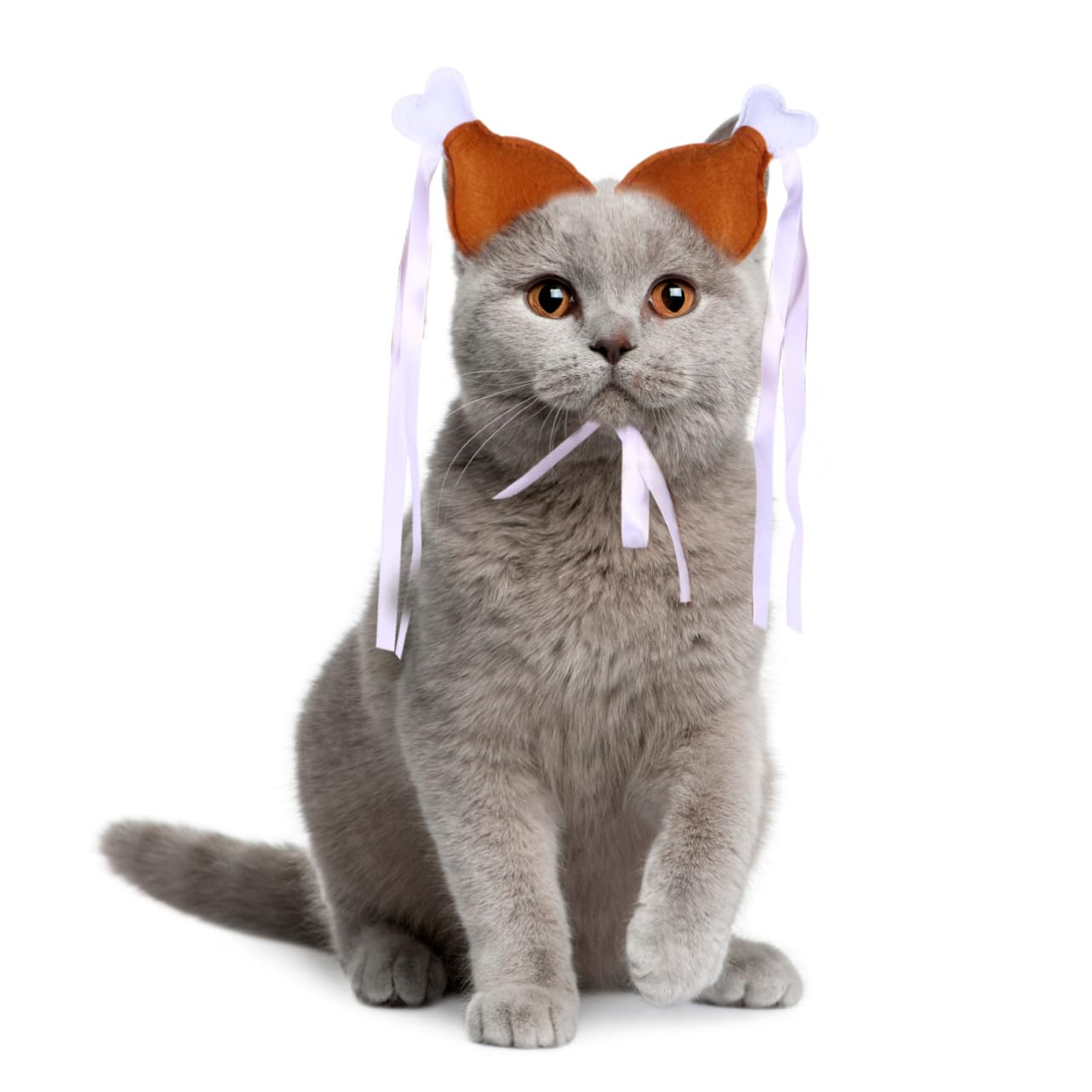 BCOATH 2pcs Decorative Chicken Leg Hair Band for Pets Funny Headdress for Cats Dogs Costume Accessory for Pet Parties and Festivals Material