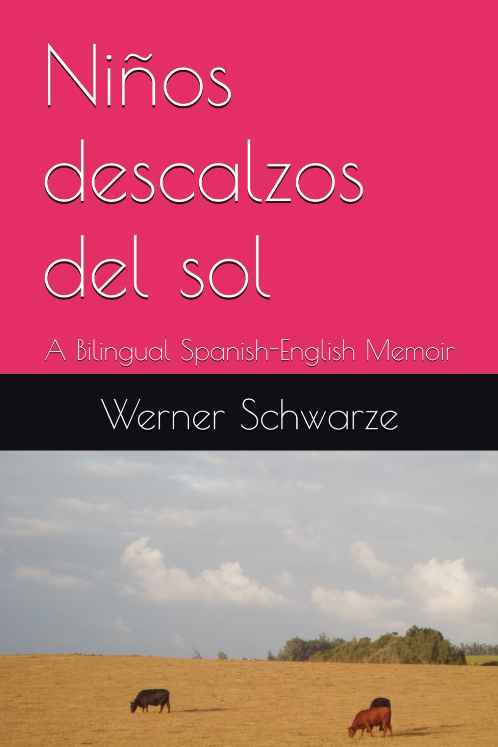 Niños descalzos del sol: A Bilingual Spanish-English Memoir