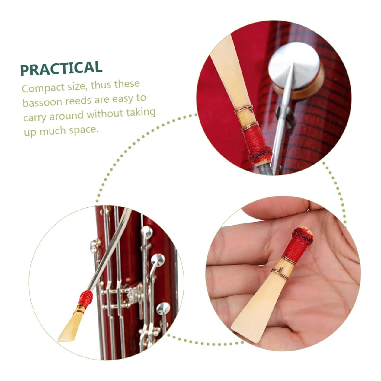 ibasenice 4pezzi Ance Per Fagotto Naturale Accessori Strumento Musicale Leggeri e Compatti Per Performance