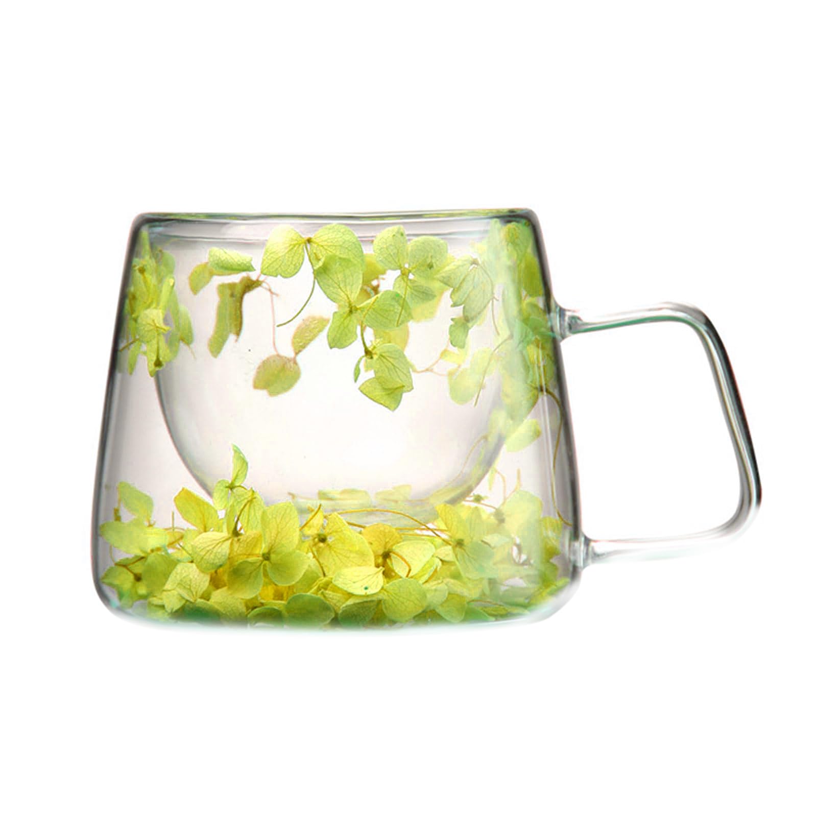 Xinsheinelry Glass Cup with Dry Flower 200ml Beverage Drinking Cups Double Layer Coffee Cup Drinkware for Everyday Use Drink Container