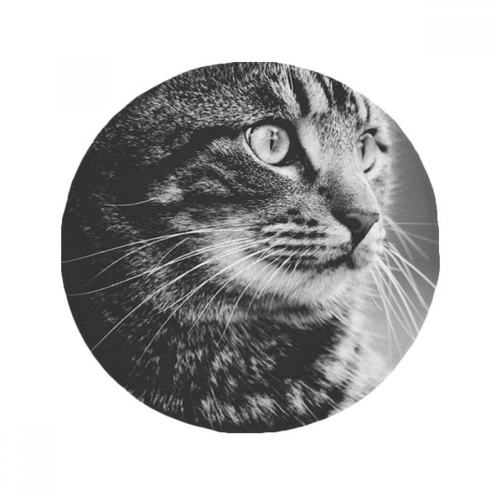 Tapis chat sauvage cadeau idéal rond 80cm pour salon et entrée