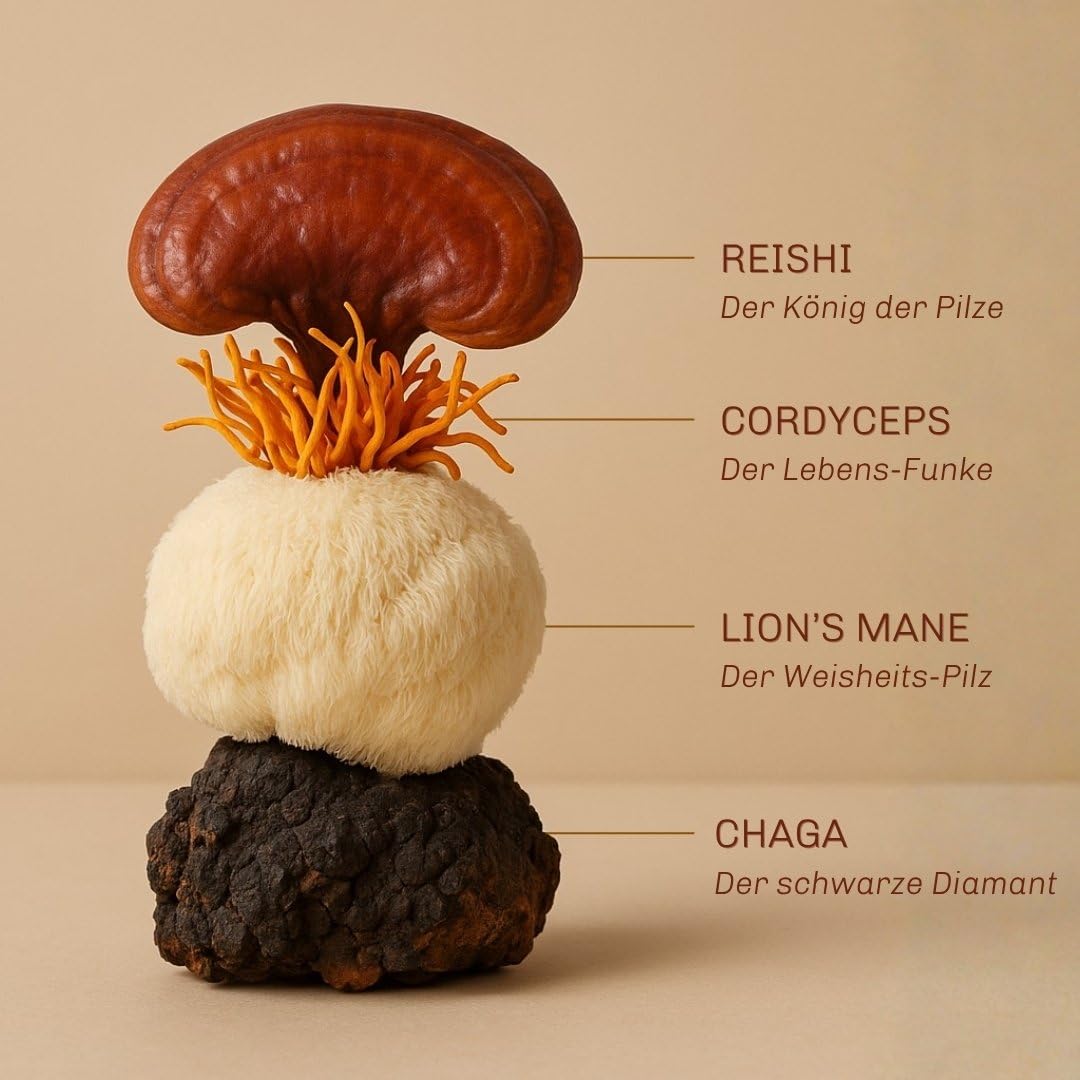 Bio Mushroom Coffee & Chai – Kaffee Alternative für Energie & Immunsystem – Mit Lions Mane (Löwenmähne), Chaga, Reishi & Cordyceps – Pilz Komplex mit Kakao & Kurkuma, 40 Port.