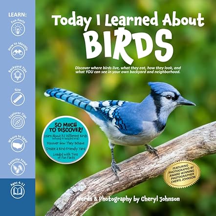 Today I Learned About Birds
