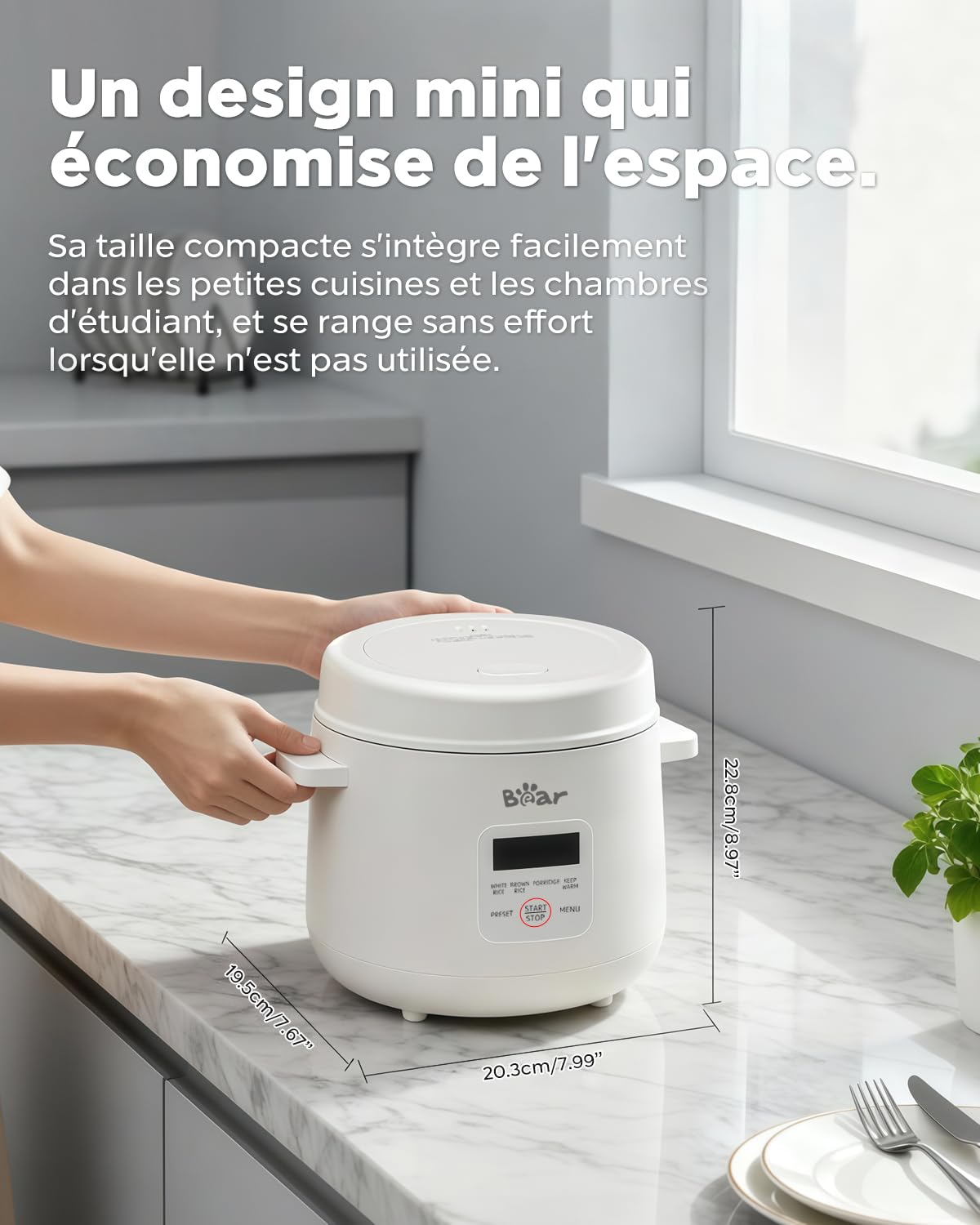 Bear Cuiseur à riz 2 tasses non cuit, multifonction, 300 W, avec fonction de maintien au chaud, fonction préréglée, mini cuiseur électrique, blanc