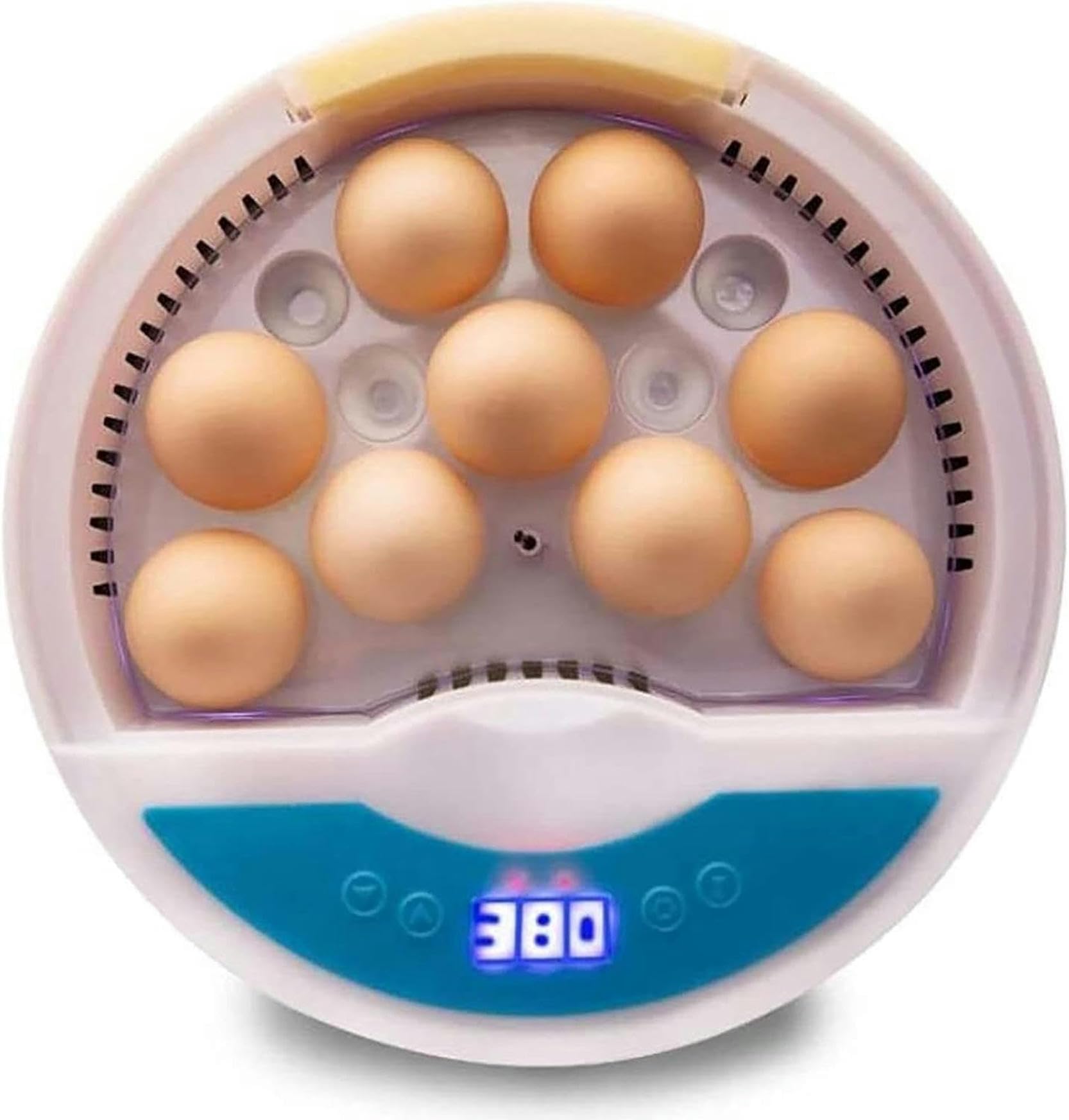 Incubateur oeufs couveuse XENITE évitez les échecs d'éclosion à la maison