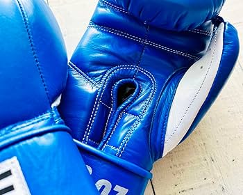PRIZE RING 14OZ ボクシンググローブ 青 PRIZE RING 14 oz ボクシンググローブ Brand New 14 Oz Prize
