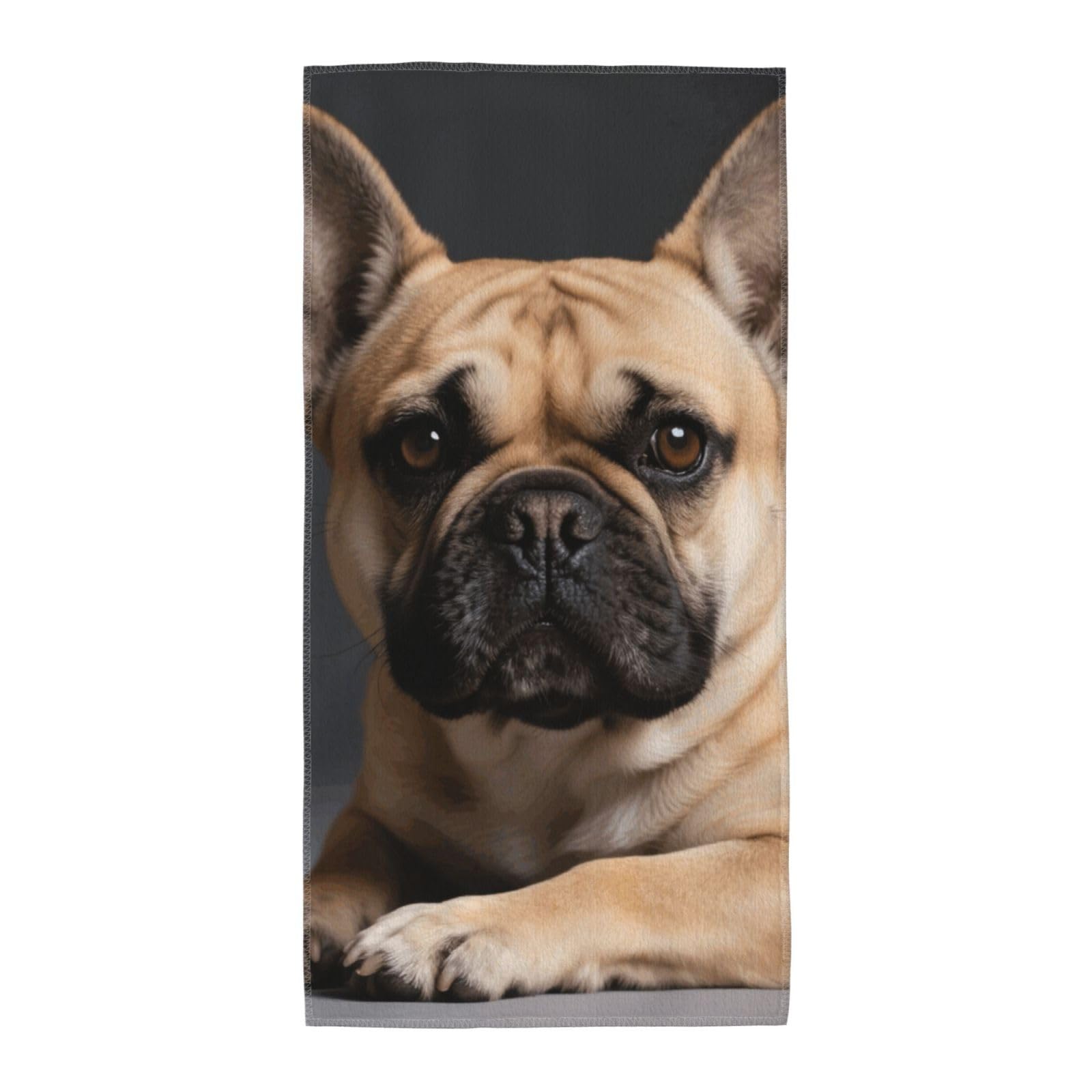 FekiLoot Absorbent Hand Towels 13.8"X27.5" Decorative Bathroom Towel Soft Microfiber Face Towel Dog Dish Kitchen Towels for Bathroom Kitchen Hotel Spa Bath Towels