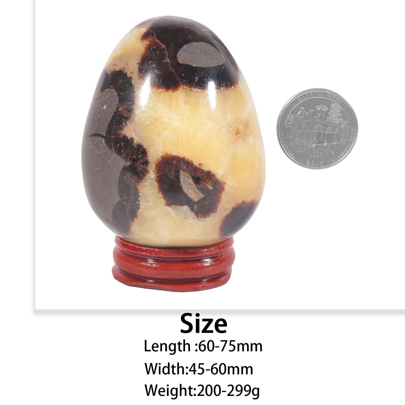 Nupuyai Natural Septarian Dragon Stone Egg with Wooden Stand - Image 2