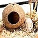 QMAAAYS Hamsterhaus, Kokosnussschalen-Vogelhaus, Lebensraum für kleine Haustiere, tropischer Stil, 12 x 12 x 13,5 cm