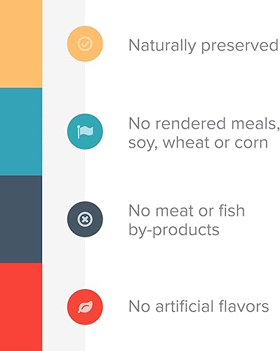 Miniatura 10 de Plato Thinkers Salmon 18oz