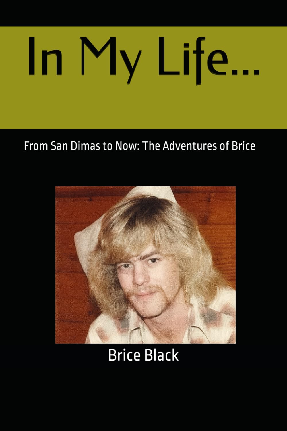 In My Life...: From San Dimas to Now: The Adventures of Brice
