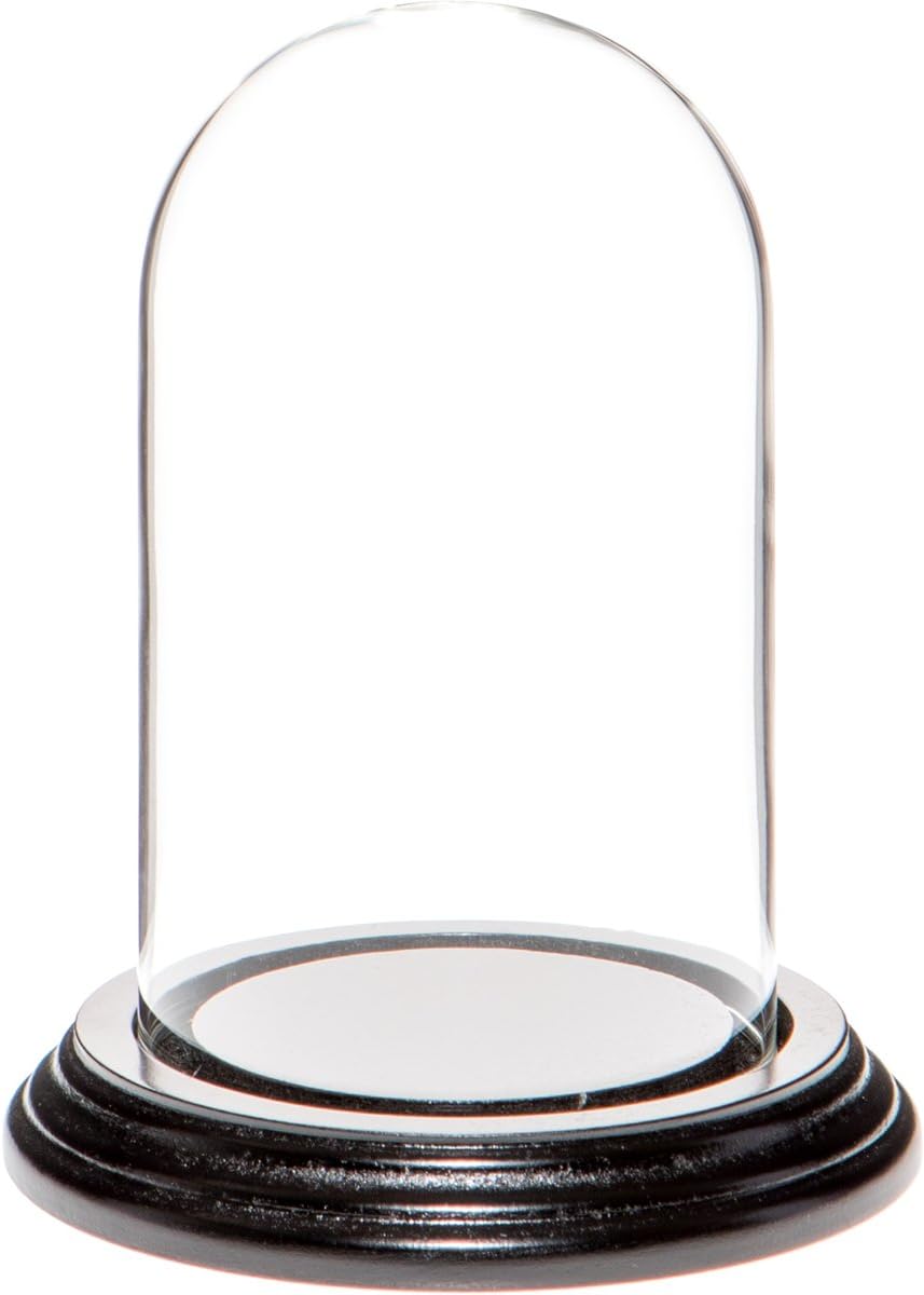 Plymor 3" x 5" Glass Display Dome Cloche (Black Wood Veneer