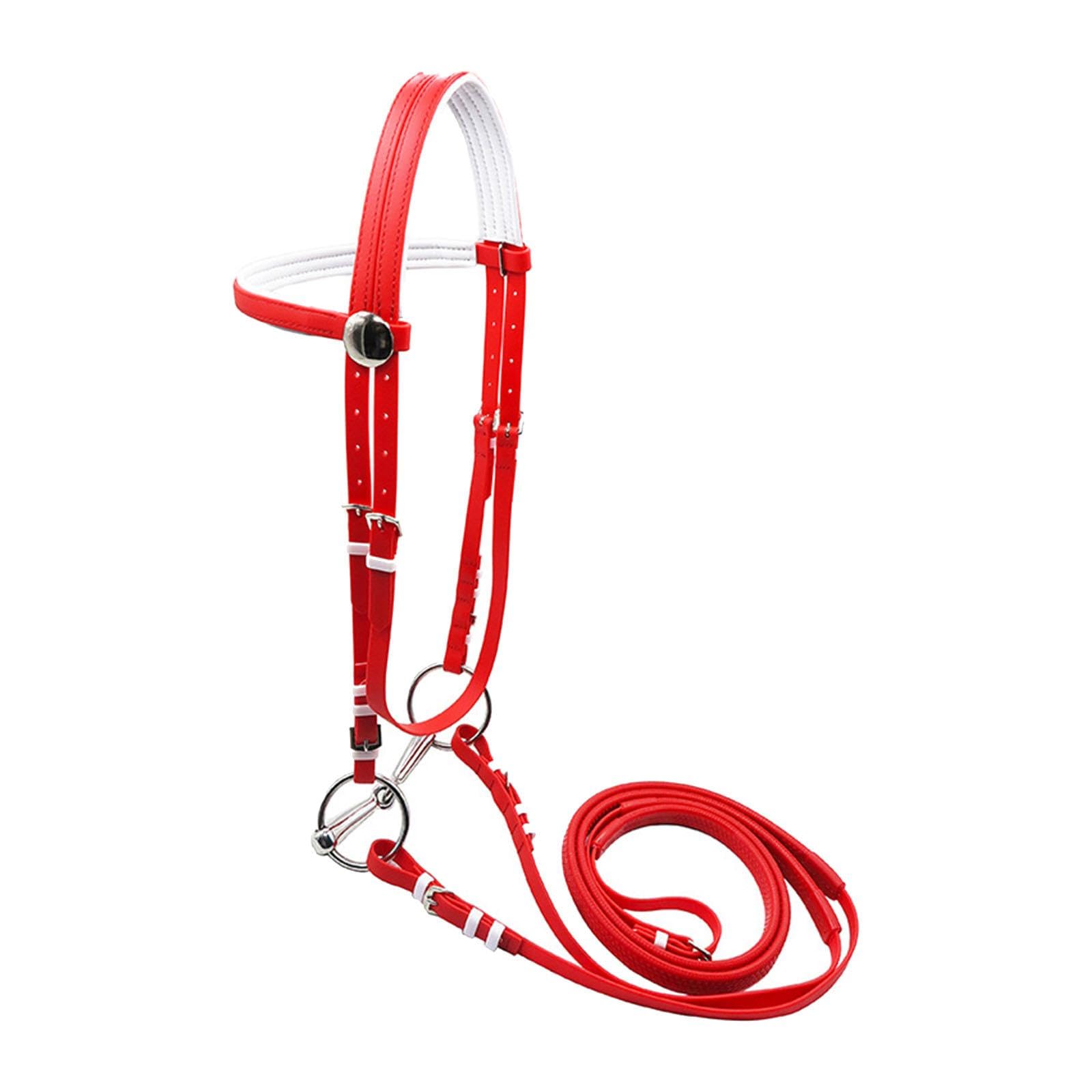 Brida para Caballo con Correa para La Y Cabezada, Cómoda Y Ajustable, Cuerda para Montar para Entrenamiento, Clásica