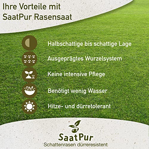 Foto von SaatPur® Rasensamen Schattenrasen Dürreresistent 5kg für ca. 150 m², Mehrjährige Rasemischung aus mehreren Rasenarten, meistens 4 bis 5, satt grün, schnellkeimend, hitzetolerant, Neusaat und Nachsaat