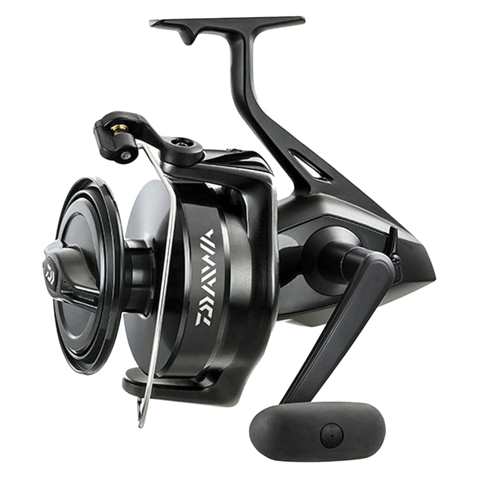 Amazon.com: Reel Saltwater Spin, 1, 3.4 : 1 : Sports & Outdoors