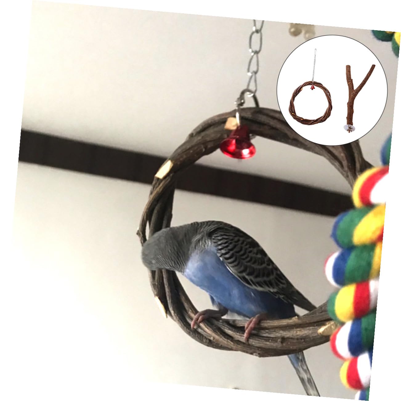 Sosoport 3sätze Vogelspielzeug Mit Schaukel Und Stehständer Geflochtener Ring Aus Apfelholz Für Papageien Und Wellensittiche Spiel Und Bewegung Im Vogelkäfig