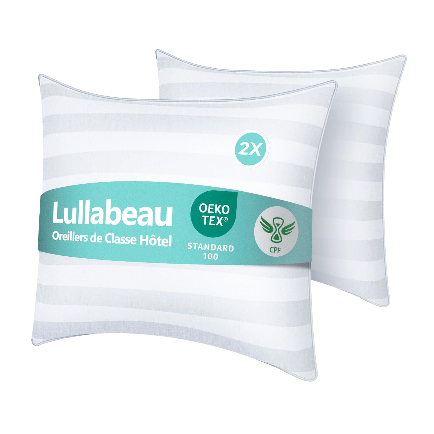 Coussin respirant et doux 65x65 cm lavable en lot de 2 pour la maison