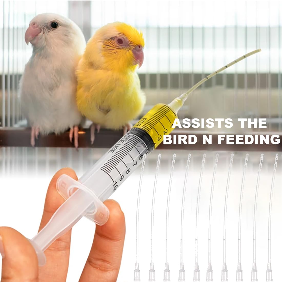 10 Pz Alimentatore Pappagalli Trasparente Uccelli Alimentazione Tubi Veloce Alimentazione Tubo Siringa per Bambino Pet Uccelli