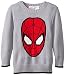 Marvel Boys' Spiderman Boys Sweater