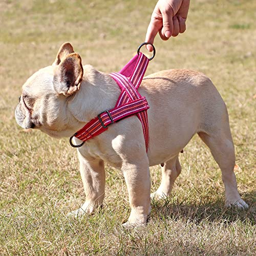 Imbracatura per Bulldog Francese No Pull Pet Imbracatura per Cani Imbottita in Nylon Imbracatura Riflettente per Cani di Piccola e Media Taglia