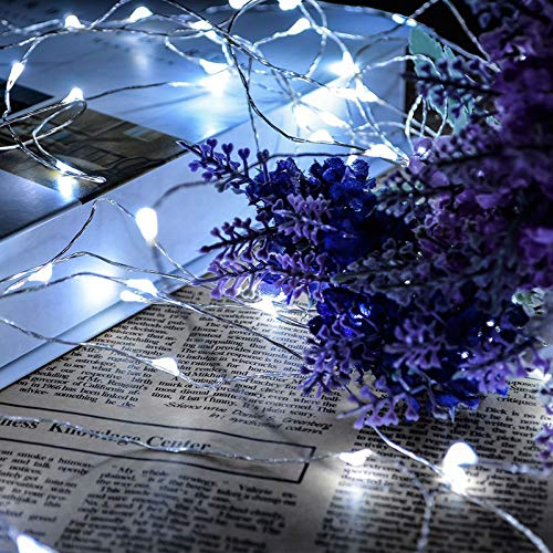 Image of Ruichen USB Power Starry LED Christmas String Lights with 200 Mini Micro LEDs on 66FT Long Silver Wire(White)