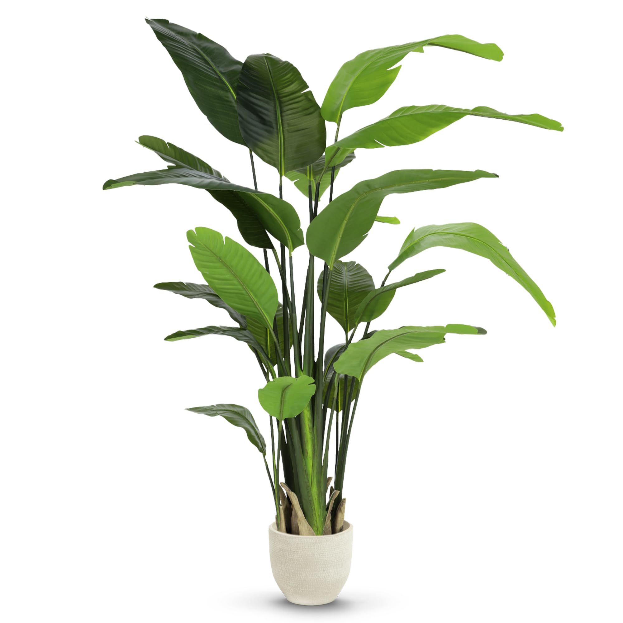 Maia Shop Oiseau de Paradis Artificiel 210 cm - Faux Arbre d'Intérieur