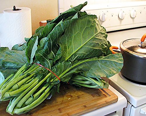 Miniatura 3 de 100 semillas gigantes del sur de Georgia Col Herb Heirloom Non GMO de Estados Unidos Brassica oleracea VAR. Acephala