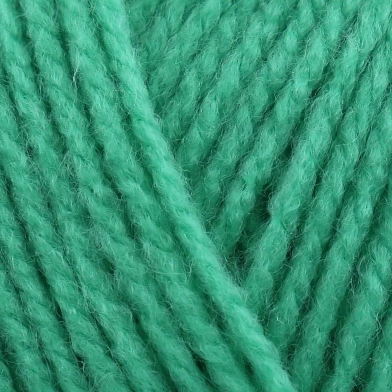 Stylecraft Special DK 100g (Jade 2177)