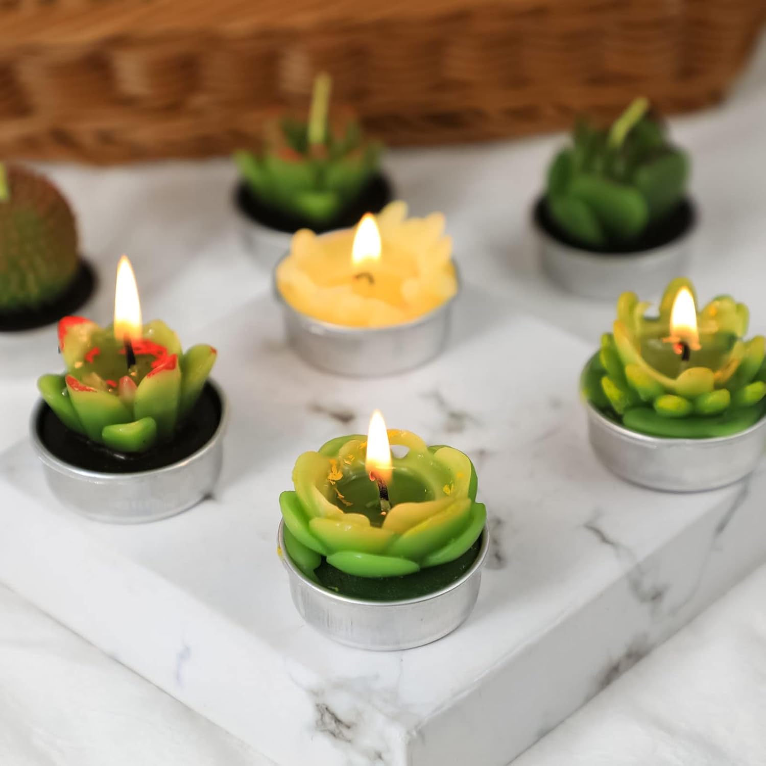 LA BELLEFÉE Cactus Tealight Candles, Smokeless Handmade Cute Mini Plants Candles - Perfect for Home Decor/Birthday Gift/Wedding Props/House-Warming Party - 12 Pack