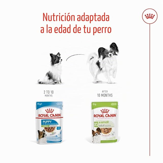 Foto 4 de 6 de ROYAL CANIN X-Small Adult