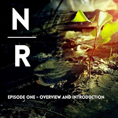 S1E1 - Navigating a Resurrection - Overview and Introduction