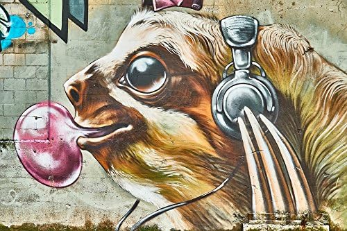 Graffiti art sloth headphones murals 24x36 Inches Poster Printing Modern Home Decor Office Space Artwork
