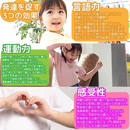25音 カラフル鉄琴 関連画像 1