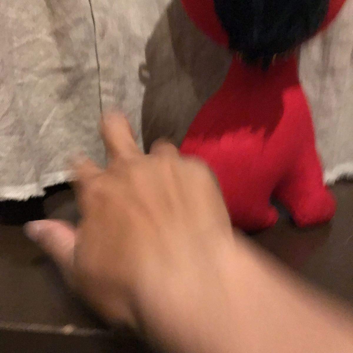 Amazon.co.jp: 大型 30cm弱 ドリームペッツ 赤い ゴールデン