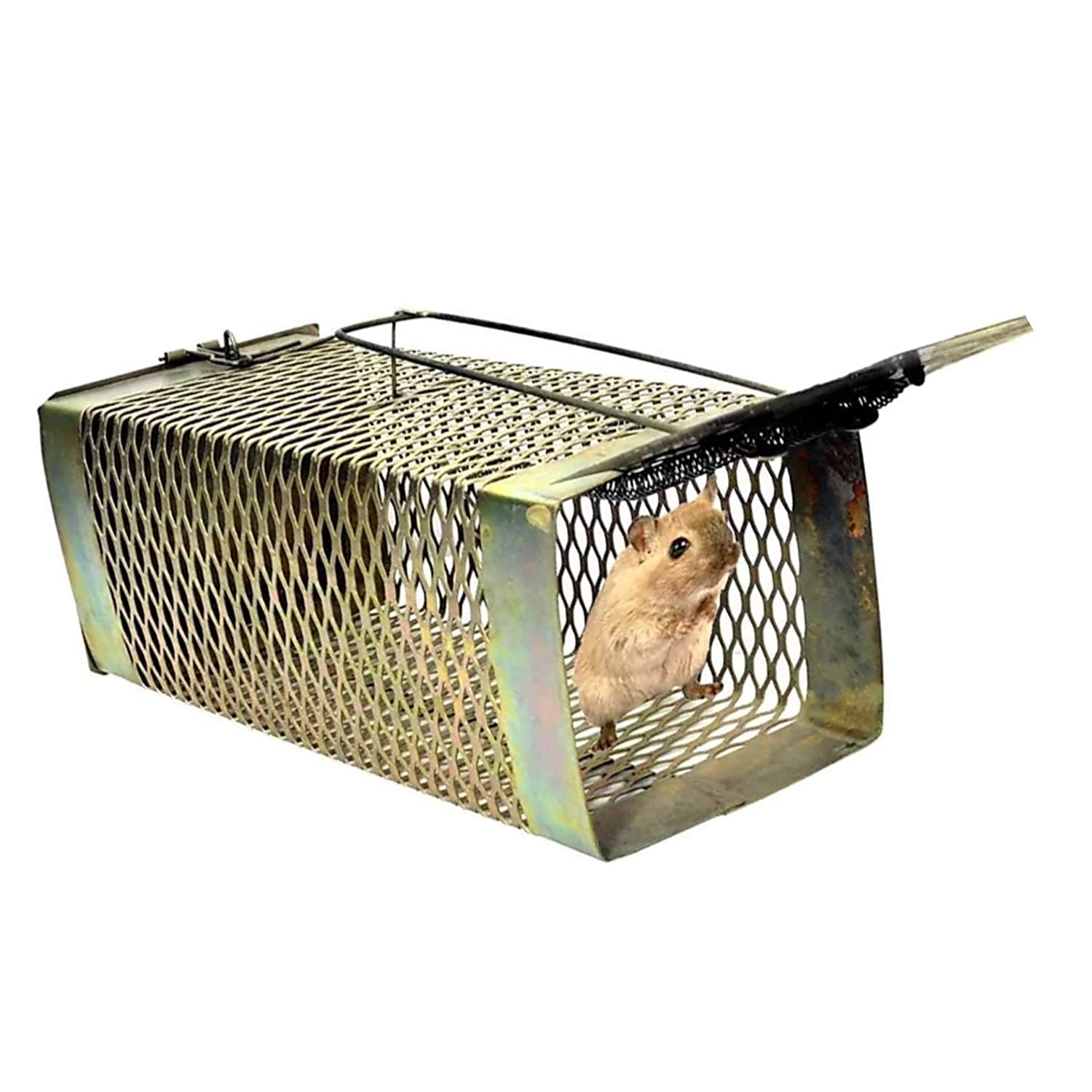 Rat Trap Cage, Iron Gold Colour Criss-Cross Design, Heavy Quality, Durable for Catching Small and Big Rodents (Medium Size)-image-49