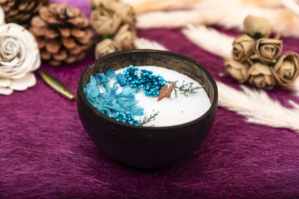 ColyScented Coconut Shell Candle | Soy Wax, Sea Breeze Fragrance, Home Decor Gift on Christmas, New Year