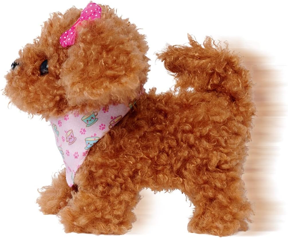 ChiChiLove Tea Cup Poodle Puppy