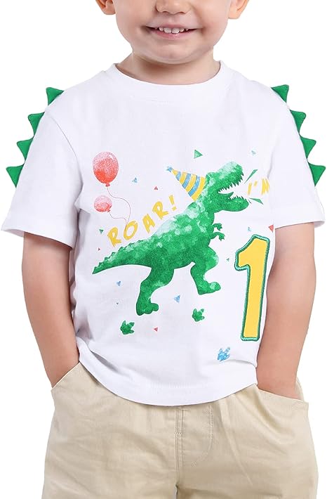 1st birthday dinosaur shirt Clearance