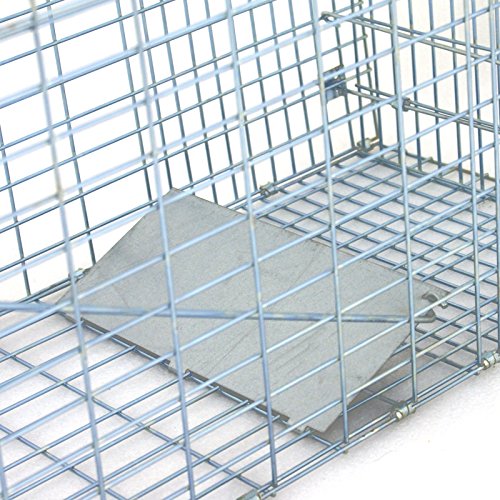 JungleA Animal Cage Trap 32"x13"x12", Foldable Live Catch Animal Trap Cage, Humane Catch & Release Rodent for Raccoons, Stray Cats, Groundhogs, Opossums, Squirrel, Chipmunks, Chicken, Rabbits, Skunk - Thumbnail 6
